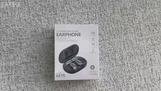 Ai Translation Earbuds